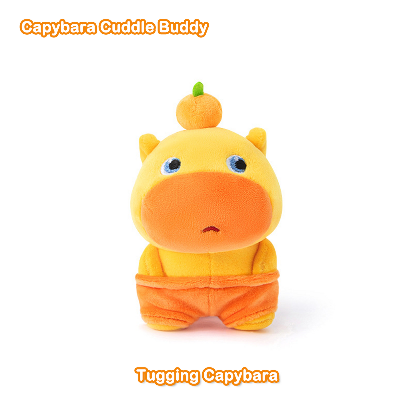 Add a Dash of Cuteness to Your Life with Our Adorable Capybara Keychains! π Perfect for Gifting, Collecting, and Daily Fun!
